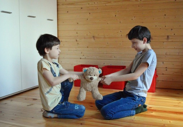 do-not-share-a-toy-g6bfe60ded_640