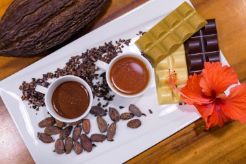 cacao-7330888_640